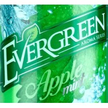 Evergreen