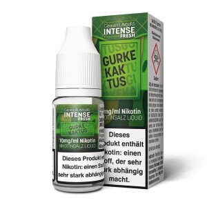 INTENSE Fresh Gurke Kaktus 10ml Nikotinsalz Liquid
