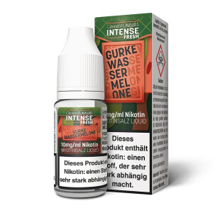 INTENSE Fresh Gurke Wassermelone 10ml Nikotinsalz Liquid